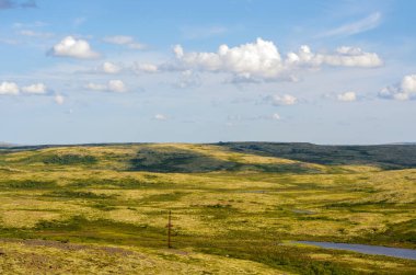 Murmansk tundra ile seyahat.