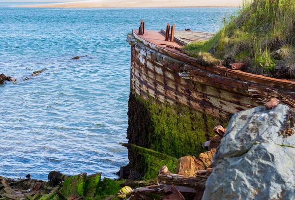 Yosun Çalılarla Büyümüş Büyük Eski Bir Geminin Kıvrıklığı Doğa Insanın — Stok fotoğraf