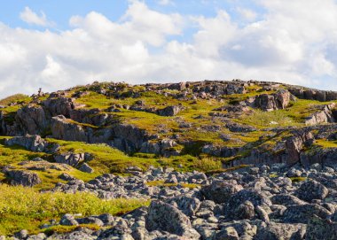 Ot ve yosunlu kayalık bir tepe. Tepenin üzerinde, beyaz bulutlar yetişmeye çıkarak hayal bile edilemeyecek figürler yaratırlar. İlkel doğal güç Kuzey manzara yatıyor.