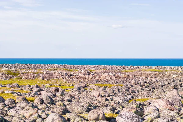 Скелясте Узбережжя Величезні Округлі Валуни Пляжі Морські Кремени Баренца Усіма — стокове фото