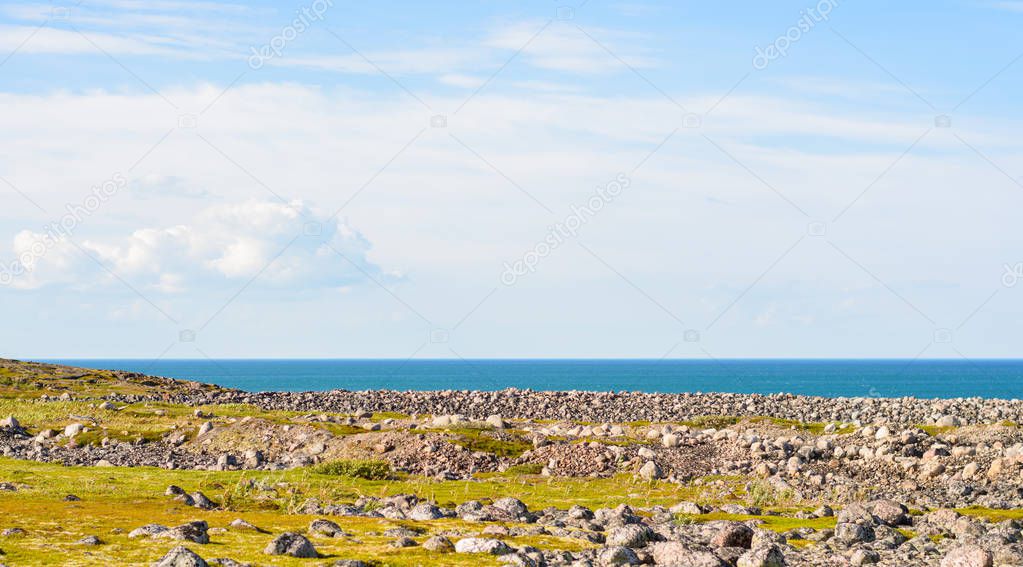 Rocky seashore. Huge rounded boulders on the beach. The Barents sea shimmers with all shades of blue in summer. Among the stones can be seen Islands of grass and moss, somewhere there are berries