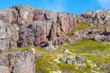 Dağ, parlak mavi gökyüzünün altında yeşilliklerle çevrili çatlaklar ve çukurlarla kaplıdır. Yeşil ot ve yosunla çevrili yaylada bir sürü taş var..