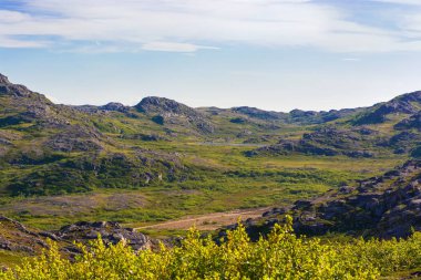 Tundrada manzara var. Kuzey iklimindeki kayaların arasındaki yeşil vadi. Yumuşak mavi gökyüzü sisi yeşil araziye iniyor. Orada burada kayalık bir kaya var.