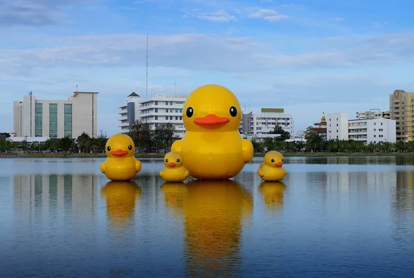 Family of yellow duck floating in the park