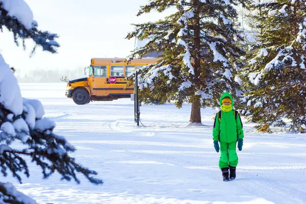Yellow public school bus drops off a student at home in remote location. Rural scene among snowy trees in winter.