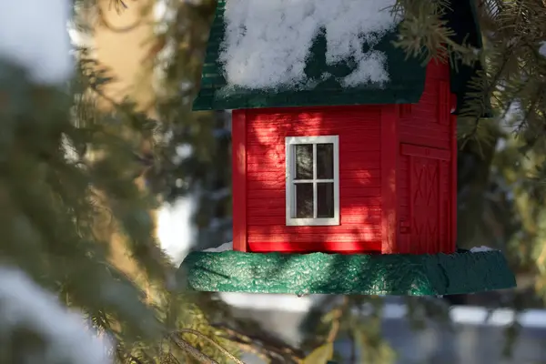 Bright red and green house bird feeder is hanging in the backyard in winter on a snowy fir branch.