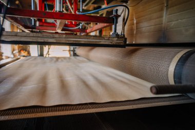 Valmiera, Letonya - 10 Eylül 2025 - Bir marangoz fabrikasında ahşap kaplama ince bir yaprak işleme makinenin yakın görüntüsü, endüstriyel üretimi vurguluyor.