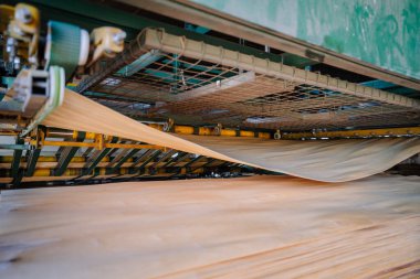 Valmiera, Letonya - 10 Eylül 2025 - Bir fabrikada ince ahşap kaplama çarşafları bastıran kontrplak üretim makinesinin yakın görüntüsü, endüstriyel silindirler ve otomatik ekipmanlar sergileniyor.