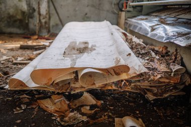 Ahşap işleme fabrikasının tozlu zemininde bir yığın ince ahşap kaplama var. Etrafı ağaç kabuğu, talaş ve endüstriyel atıklarla kaplı..