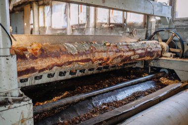 Valmiera, Letonya - 10 Eylül 2025 - kereste fabrikasındaki bir endüstriyel soyma makinesinde işlenen büyük kütük. Ağaç kabuğu kısmen sökülmüş, fabrika ortamındaki odunları gösteriyor..