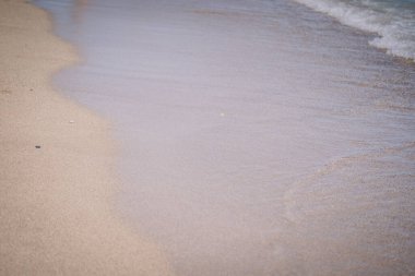 Yumuşak gün ışığında yumuşak kumlu sahile vuran okyanus dalgalarının yakın görüntüsü huzurlu ve huzurlu bir sahil anını yakalıyor..