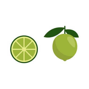 Yeşil kireç simgesi, mojito için madde, vektör illüstrasyon düz