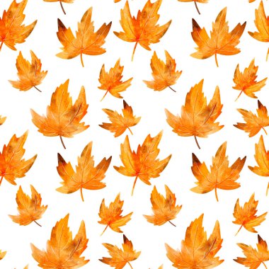 Sonbahar suluboya yaprakları akçaağaç ve orman yaprakları içeren parlak turuncu, sarı ve kahverengi desenli dekoratif izler..