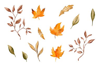 Autumn leaf watercolor illustration set featuring colorful maple and forest foliage, perfect for seasonal decoration, clipart, and design elements.