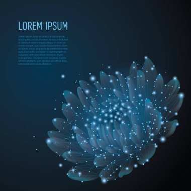 Koyu mavi zemin üzerine yaratıcı poligonal çiçek. Bilim ve güzellik yenilik kavramı düşük Poli tel kafes tarzı.