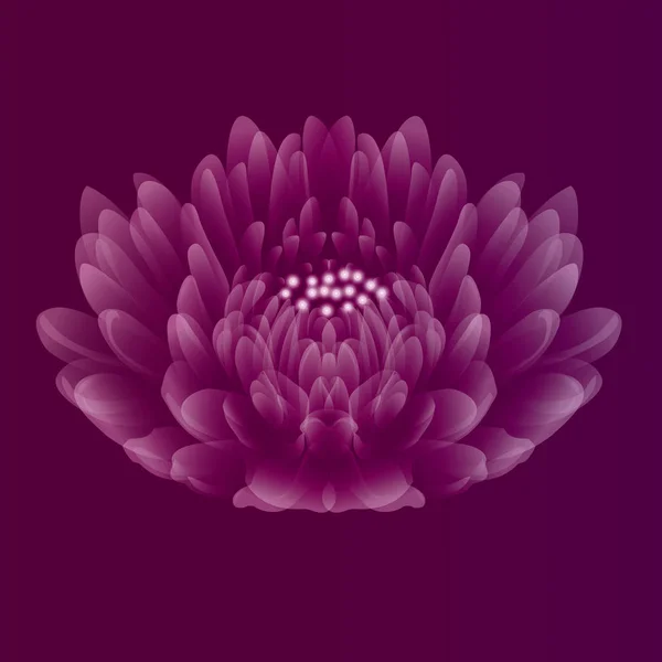 Beautiful flower on purple pink background. Vector illustration