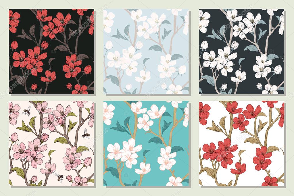Set collection with seamless patterns. Blooming tree flowers. Spring floral texture. Hand drawn botanical vector illustration.