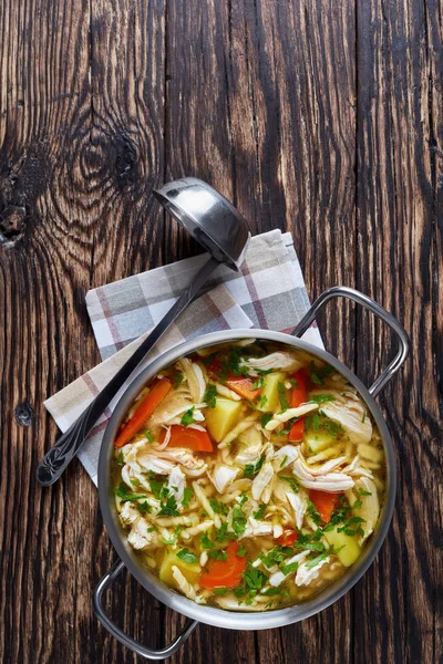 Robek Payudara Ayam Dan Sup Hangat Sayuran Dengan Pasta Dalam — Stok Foto