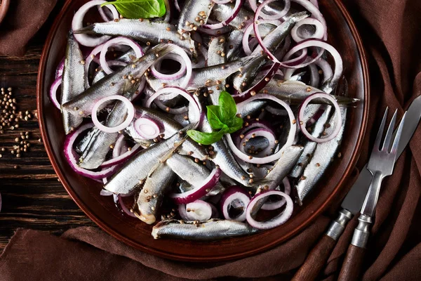 Salted sprats marinated with red onion rings on an earthenware plate coriander seeds, brown cloth, fork and knife on an old rustic wooden table, view from above, close-up, flatlay — Stock Image Salted Sprats Marinated Red Onion Rings Earthenware Plate Coriander Seeds Stock Image