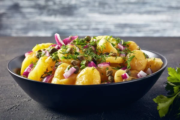 Insalata di patate con cipolla rossa, capperi, verdure — Foto Stock