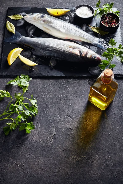 Two uncooked whole sea bass, top view — Stock Photo, Image