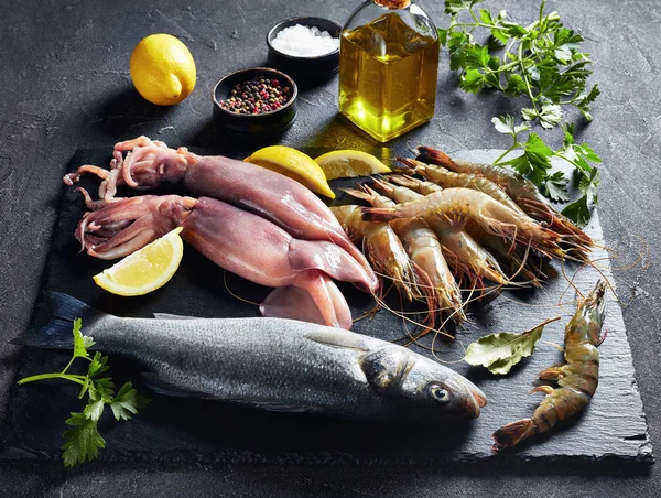 Close-up of raw sea bass, shrimps, calamari — Stock Photo, Image
