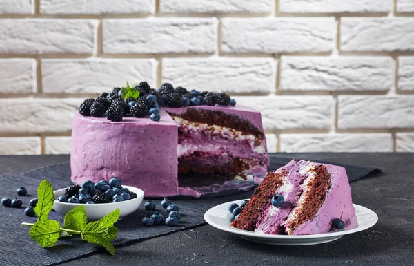 Şenlikli kek, yaban mersini ve böğürtlen sünger kek — Stok fotoğraf