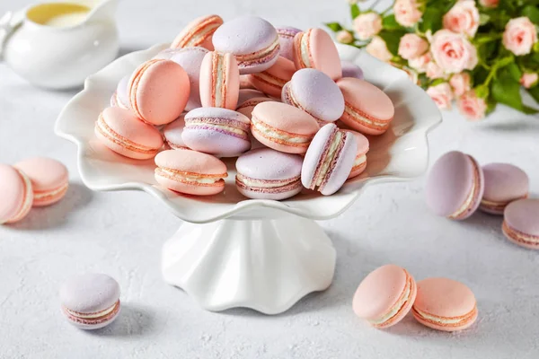 Macarons français rose et lavande, vue sur le dessus — Photo