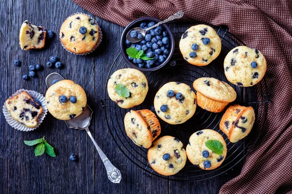 Muffins Mirtilo Assados Com Mirtilos Frescos Rack Resfriamento Preto Com — Fotografia de Stock