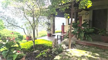 Tranquil patio with lush plants and trees, part of a rustic house with stone steps and shaded outdoor seating on a sunny day.