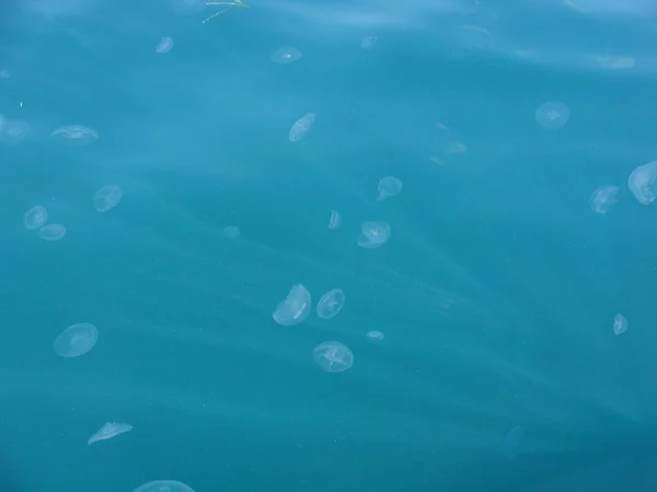 Zee Oceaan Zeegezicht Kwallen Golven Zee Achtergrond Zomer Blauw — Stockfoto