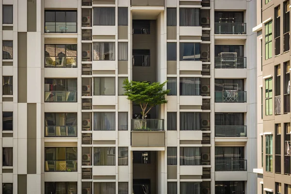 Edificio Blanco Bangkok Con Árbol Verde Balcón Edificio Con Ventanas — Foto de Stock