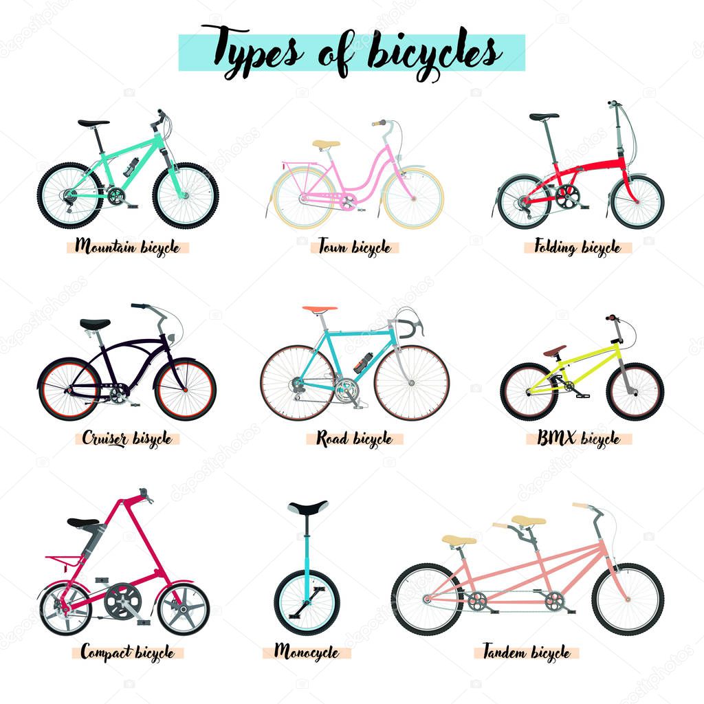 Types of bicycle. Isolated on white.