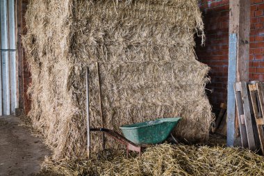 Ahırda el arabalı çiftlik samanlığı, saman ve yabalı tarım deposu, kırsal tarım ekipmanları, çiftlik hayvanları besleme hazırlığı, kırsal tarım sahnesi