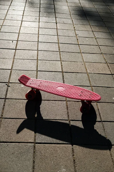 Pembe yakın gündoğumu sokakta kaykay. Renkli kuruş kaykay