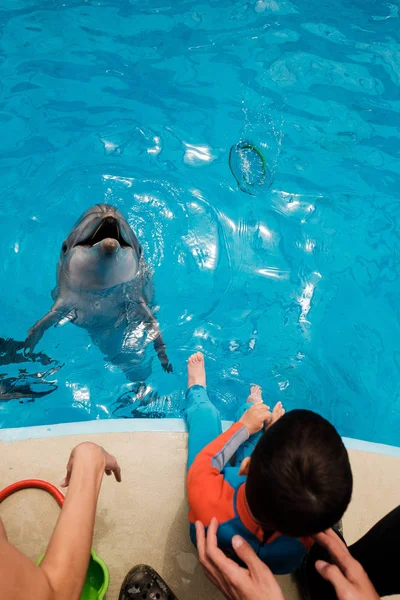 孩子们在蓝色的水中玩宽吻海豚 海豚辅助治疗 — 图库照片