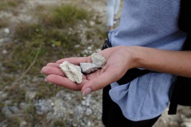 fosil deniz kabuklarını parçalarını tutan kadın. Yakın çekim