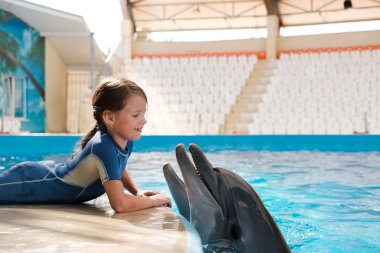 kız mavi su şişe burunlu yunuslar ile yüzme. Yunus terapisi destekli