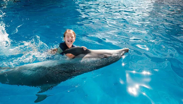 kız mavi su şişe burunlu yunuslar ile yüzme. Yunus terapisi destekli