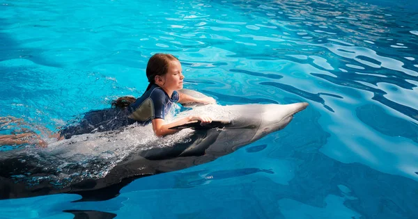 kız mavi su şişe burunlu yunuslar ile yüzme. Yunus terapisi destekli