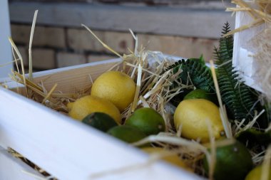Limon ve Limes ahşap bir kutuya yalan hasat. Rustik taze meyve.