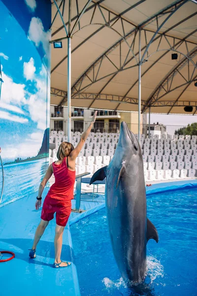 Trainer and jumping Dolphins. Female Coach teaching bottlenose Dolphin new tricks of jumping to hands. Dolphin Assisted Therapy