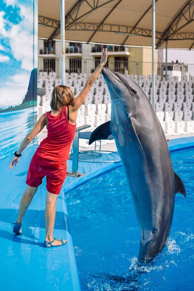 Trainer and jumping Dolphins. Female Coach teaching bottlenose Dolphin new tricks of jumping to hands. Dolphin Assisted Therapy