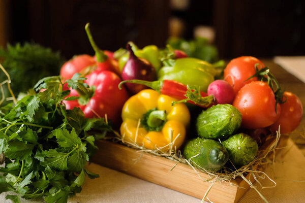 Group of fresh vegetables and herbs in wooden box on wooden background. Cucumber, paprika, pepper, cucumber, tomato and herbs. Harvest and healthy organic food concept