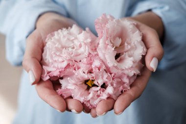 Elinde pembe çiçekler olan bir kadın. Eustoma'lı kadın elleri. çiçekler bir kalp şeklinde düzenlenmiştir. El cilt bakımı. Eller ve tedavi için krem. Yakın çekim
