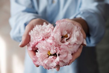 Elinde pembe çiçekler olan bir kadın. Eustoma'lı kadın elleri. çiçekler bir kalp şeklinde düzenlenmiştir. El cilt bakımı. Eller ve tedavi için krem. Yakın çekim