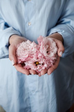 Elinde pembe çiçekler olan bir kadın. Eustoma'lı kadın elleri. çiçekler bir kalp şeklinde düzenlenmiştir. El cilt bakımı. Eller ve tedavi için krem. Yakın çekim
