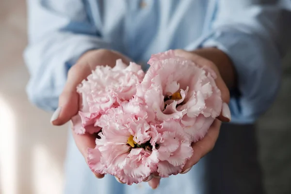 Woman holding pink flowers. Female hands with Eustoma. flowers arranged in a heart shape. Hand skin care. Cream for hands and treatment. Close up