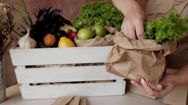 野菜店でリサイクル可能な紙袋 環境にやさしい紙袋に食べ物を入れる女性の売り手 エコショッピング 廃棄物ゼロ プラスチックなし — ストック動画