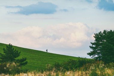 Erkek tepeden aşağı gider. Düşük Tatra Dağları, Slovakya